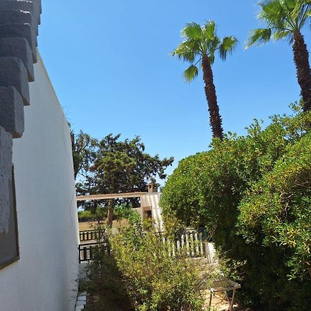 Vacanze Nella Natura Con Vista Mare Torre Pali 外观 照片