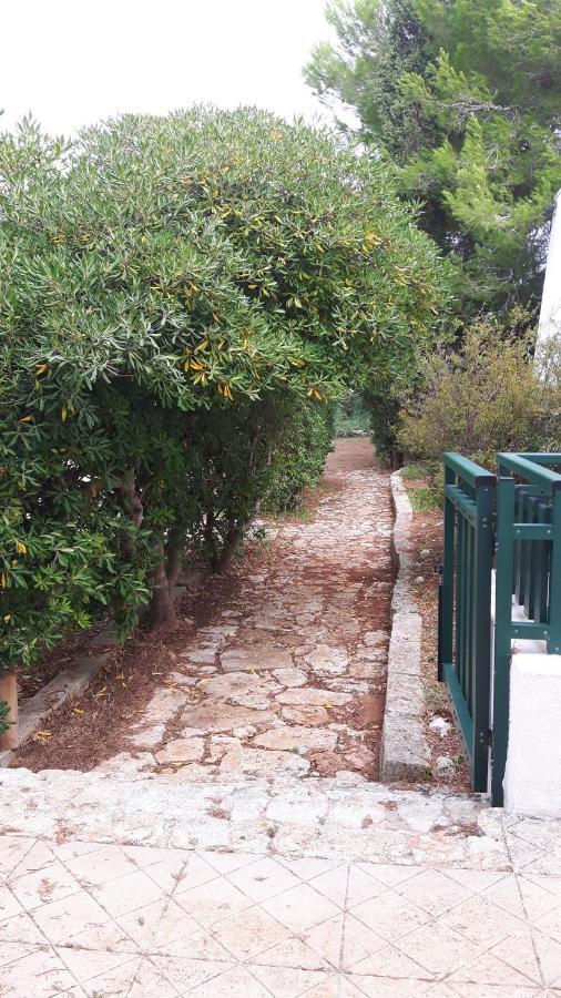 Vacanze Nella Natura Con Vista Mare Torre Pali 外观 照片