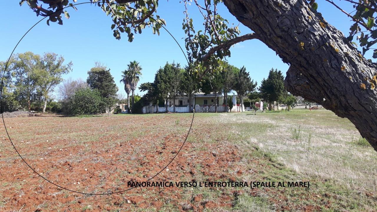 Vacanze Nella Natura Con Vista Mare Torre Pali 外观 照片