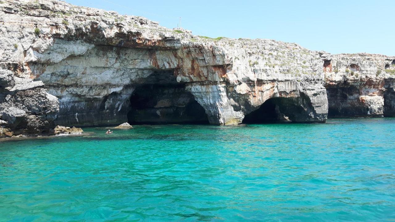 Vacanze Nella Natura Con Vista Mare Torre Pali 外观 照片