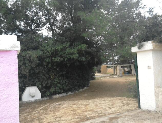 Vacanze Nella Natura Con Vista Mare Torre Pali 外观 照片