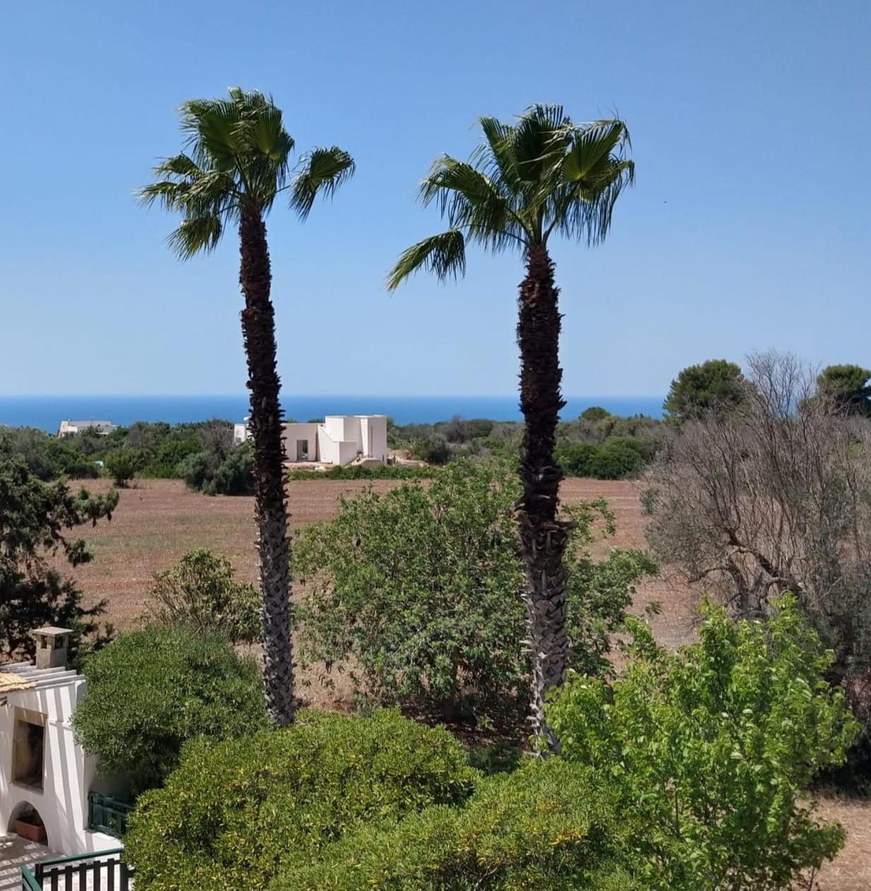 Vacanze Nella Natura Con Vista Mare Torre Pali 外观 照片